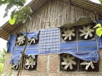 kandang closehouse sederhana, biaya kandang close house