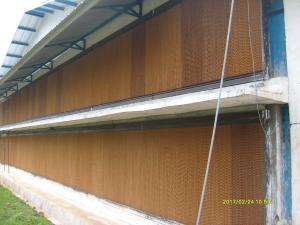 colling pad closehouse